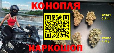 прущие грибы Ногинск