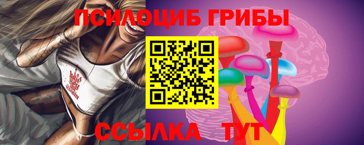 Новоуральск  Галлюциногенные грибы Cubensis  Вход с VPN 