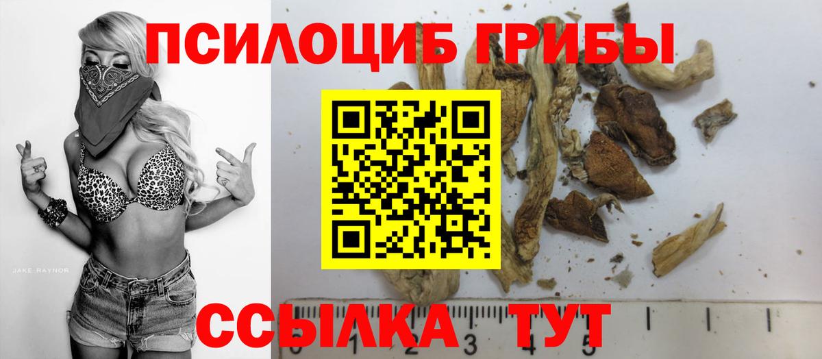 Галлюциногенные грибы Psilocybine cubensis Новоуральск